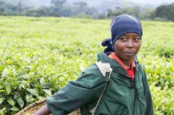 Rwandan farmer