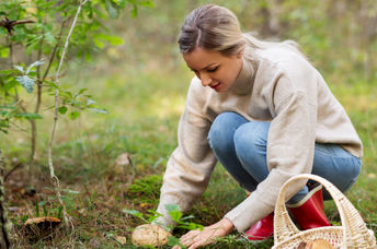 Woman foraging fall mushrooms.