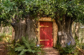 The Winnie the Pooh tree house is available on Airbnb.