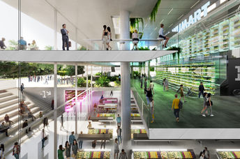 The interior of the vertical farm.