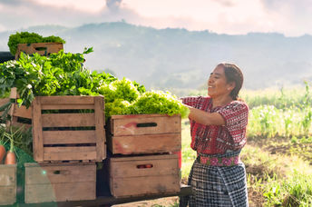 Happy indigenous farmer with fresh vegetables in her truck