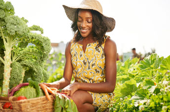 Urban teaching farm.