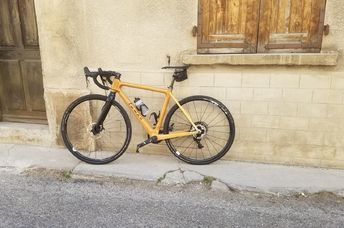 This bicycle is made of wood.