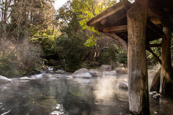 Rejuvenating hot springs in Japan