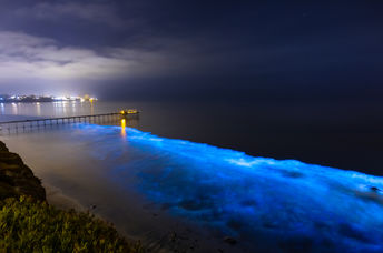 Bioluminescence at San Diego Coast.