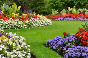 Beautiful weed-free yard.