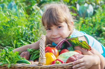 A bounty of vegetables