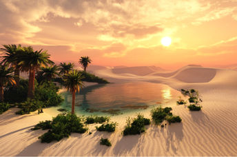 A lush oasis in a parched, sandy desert.