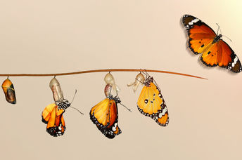 Change can be difficult.