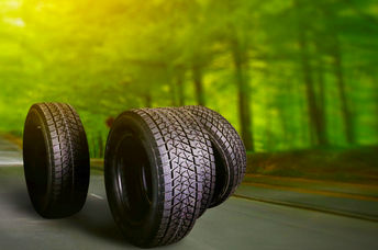 Car tires on a forest road in summer with trees in the background.