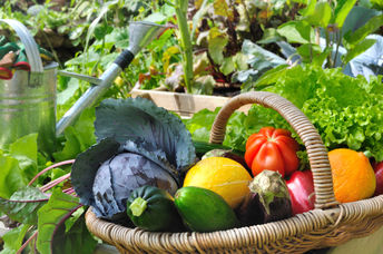 Even a small garden can give you fresh produce all summer long.