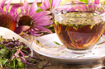 This popular herb is used in natural healing.