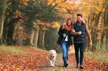 Walking in the forest.