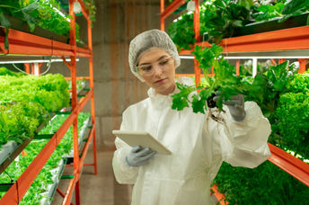 A woman working in a hydroponic vertical farm.