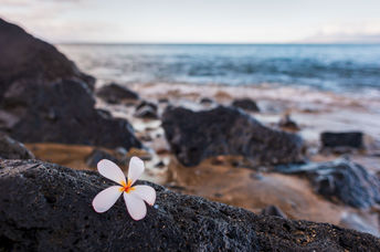 Maui, Hawaii.