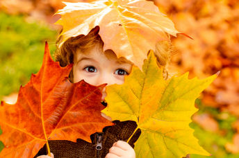 Child play in fallen leaves.