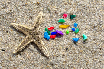 Starfish and microplastics on a beach.