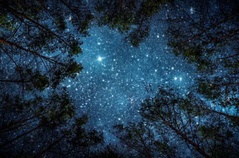 View of the milky way in the night sky.