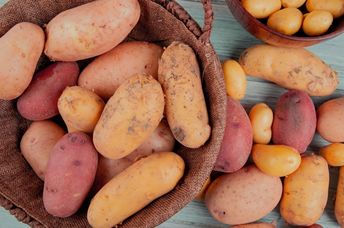 Different types of potatoes..