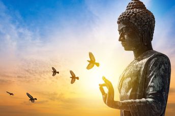 The wisdom of Buddhism can guide you.