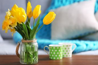 Enjoying beautiful spring tulips in your home.