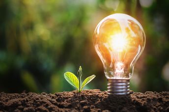 Electricity from soil.