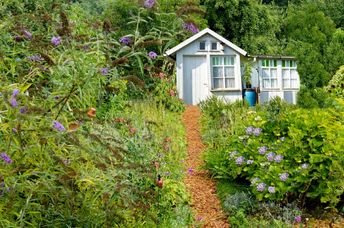 A tiny cottage in an idyllic Koloniträdgårdar garden.