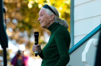 Jane Goodall speaking about conservation.