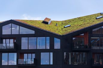 Green ecological sod roof on modern city building covered with vegetation.