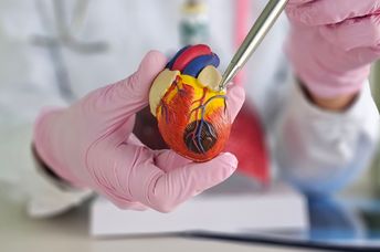 Cardiologist explaining heart disease to a patient.