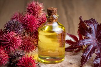 Castor oil bottle with castor fruits, seeds, and leaf.