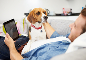 A man with his dog laying on the couch using a tablet