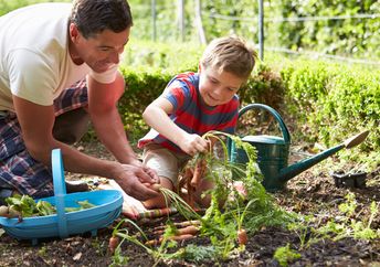 Father and son planting vegetables in the garden