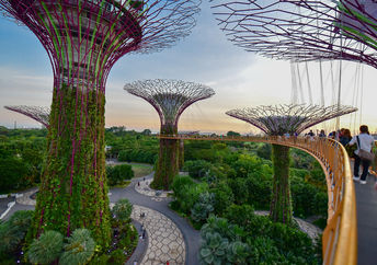 (beersonic / Shutterstock.com)