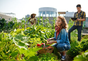 Friendly team harvesting fresh vegetables from the rooftop greenhouse garden