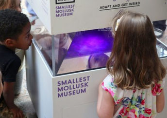 The holographic aquarium in MICRO's Smallest Mollusk Museum