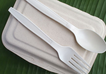 bio plastic spoon fork and biodegradable lunch box on banana leaf