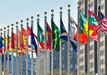 United Nations flags