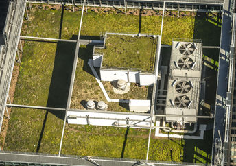 Chicago's City Hall building  green roof.