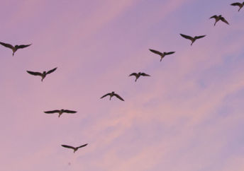 If everything in life went your way, where would you be 10 or 20 years from now? (Shutterstock)