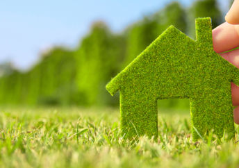 Green house made of grass