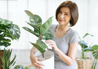 Woman taking care of house plants.