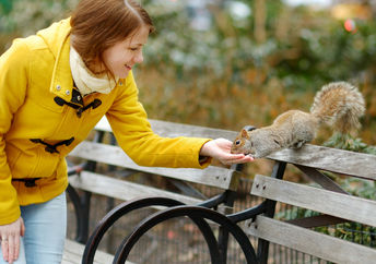 Woman feeding a squirrel in New York