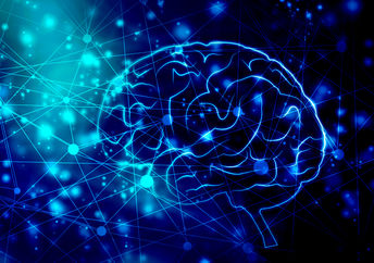 Rendering of human brain health