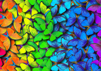 Which color inspires you?