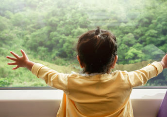 Boy enjoying scenic train travel