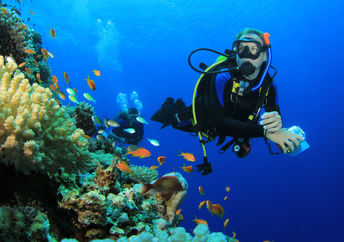 Scuba diver near a coral reef.