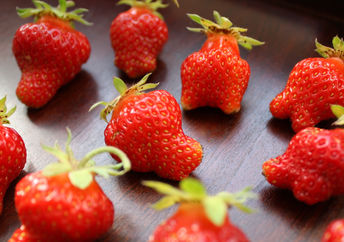 Imperfect strawberries.