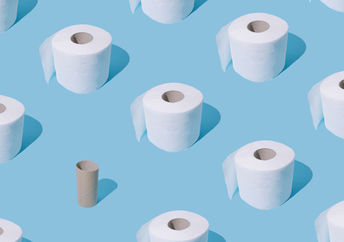 Bamboo toilet paper is a hot trend.