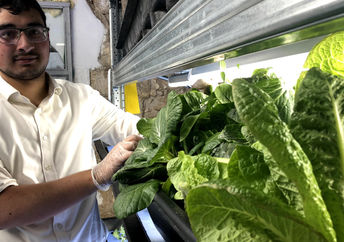 Student stands next to hydroponic lettuce